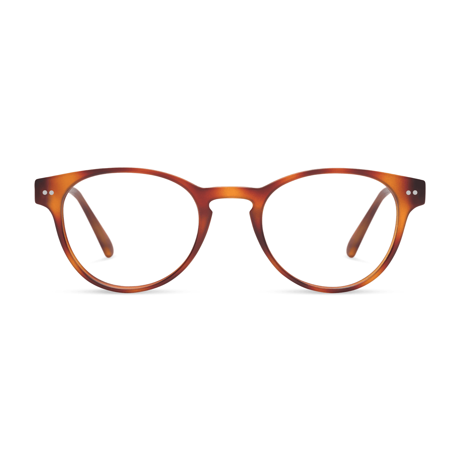 Abbey Progressives PROGRESSIVES LOOK OPTIC Chestnut 1.00